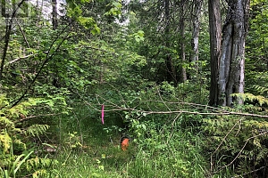 50 Valecairn Road - Photo 11