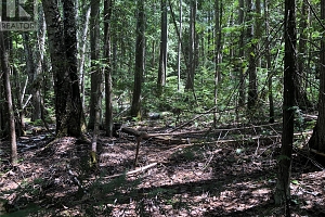 50 Valecairn Road - Photo 12