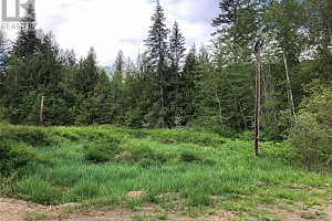 50 Valecairn Road - Photo 13