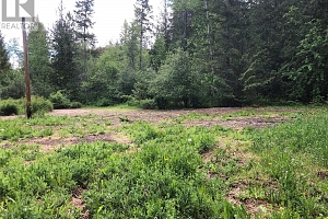 50 Valecairn Road - Photo 17