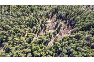 50 Valecairn Road - Photo 29