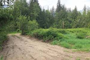 50 Valecairn Road - Photo 3