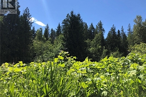 50 Valecairn Road - Photo 7