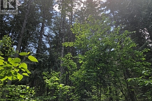 50 Valecairn Road - Photo 8