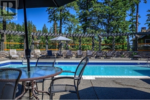 251 Predator Ridge Drive Unit# 15 - Photo 52