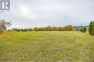 11024 Reiswig Road - Photo 73