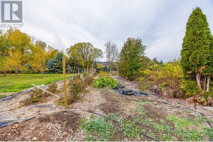 11024 Reiswig Road - Photo 77