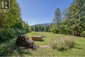 1195 Sugar Lake Road - Photo 62