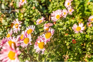 15370 Old Mission Road - Photo 45