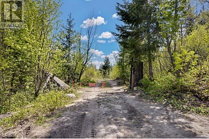 3573 McKellar Road - Photo 4