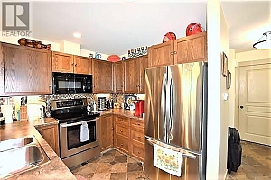 459 Ibis Avenue - Photo 12