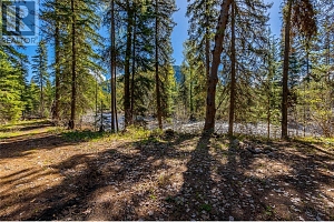 6580 33 Highway - Photo 22