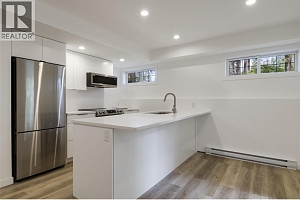 4163 Mahonia Drive S - Photo 45