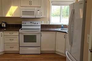 72 Tomkinson Road - Photo 10