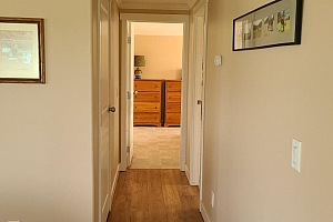 72 Tomkinson Road - Photo 19