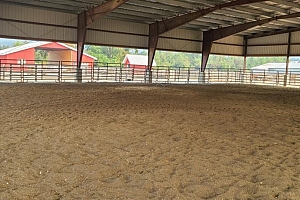 72 Tomkinson Road - Photo 28