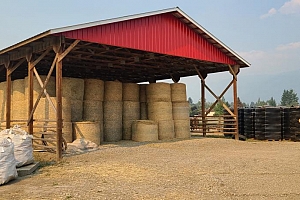 72 Tomkinson Road - Photo 31