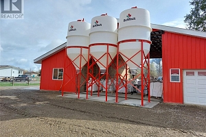 72 Tomkinson Road - Photo 4