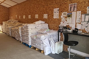 72 Tomkinson Road - Photo 6