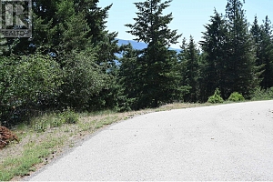 10579 Columbia Way - Photo 10