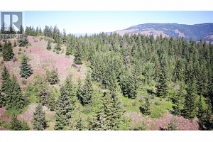 4286 Brewer Creek Road - Photo 24