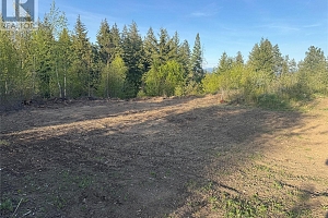 4286 Brewer Creek Road - Photo 4