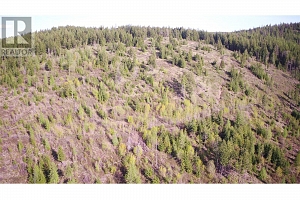 4285 brewer Creek Road - Photo 29
