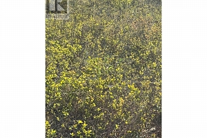 4285 brewer Creek Road - Photo 34