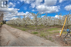 2990 Dunster Road - Photo 11