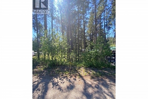 867 Balsam Road - Photo 10