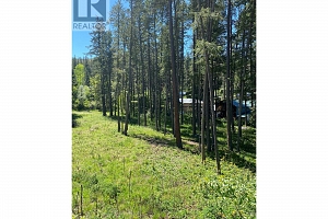 867 Balsam Road - Photo 4