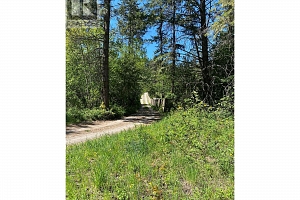867 Balsam Road - Photo 6
