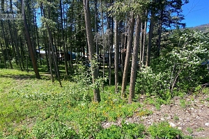 867 Balsam Road - Photo 8