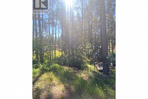 867 Balsam Road - Photo 9