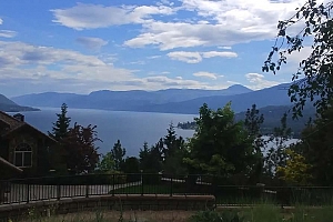 9196 Tronson Road Unit# 54 - Photo 11