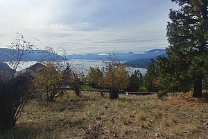 9196 Tronson Road Unit# 54 - Photo 3