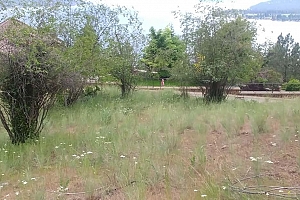 9196 Tronson Road Unit# 54 - Photo 4