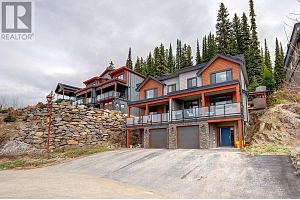 9834 Cathedral Drive - Photo 3