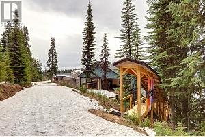 9834 Cathedral Drive - Photo 43