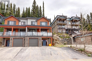 9834 Cathedral Drive - Photo 5