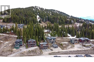 9834 Cathedral Drive - Photo 66