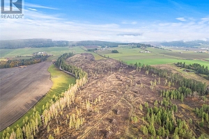 Lot C McQuarrie Road - Photo 8