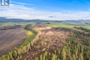 Lot C McQuarrie Road - Photo 9