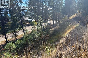 9308 Winchester Road Lot# 53 - Photo 3