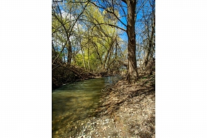 3706 24 Avenue - Photo 10