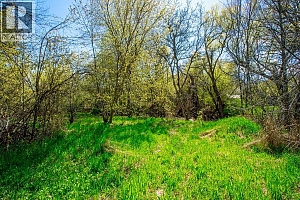 3706 24 Avenue - Photo 12