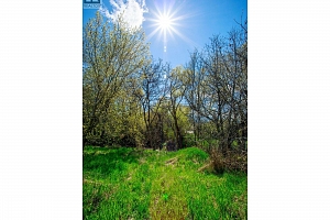 3706 24 Avenue - Photo 13