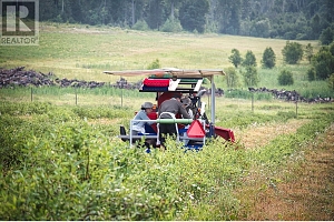 1238 Creighton Valley Road - Photo 10