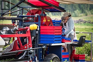 1238 Creighton Valley Road - Photo 11