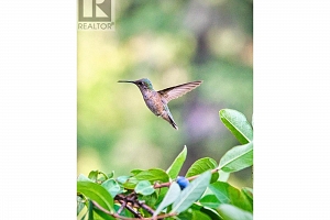 1238 Creighton Valley Road - Photo 12